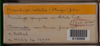 Image Associated With the Occurence
